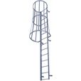 Fixed Ladder with Safety Cage