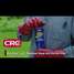 CRC Insect Killer, Aerosol, 20 oz., Outdoor Only, DEET-Free DEET Concentration Video
