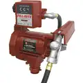 1/3 HP Cast Iron Rotary Vane Fuel Transfer Pump, 20 GPM, 115VAC