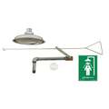 Emergency Shower, Ceiling Mount, Stainless Steel, 11" Head Dia.