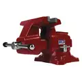 Standard Duty Combination Vise, 8" Jaw Width, 8-1/4" Max. Opening, 4-1/2" Throat Depth