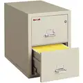 Vertical File: Fireproof Files, Letter File Size, 2 Drawers, Parchment