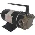 1/10 HP Nickel-Plated Brass Compact Flexible Impeller Utility Pump, Intermittent