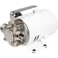 1/10 HP Nickel-Plated Brass Compact Utility Pump, Intermittent