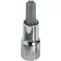 Sk Professional Tools Socket Bit, Insert Length 7/8", Replaceable Insert Yes, Torx, Tip Size T50, Tip Style Torx