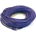 Voice and Data Patch Cord: 5e, RJ45, RJ45, 100 ft Lg - Patch Cord, Purple