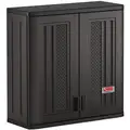 Dark Gray Wall Cabinet, Number of Shelves 1