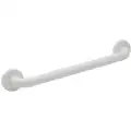 18" Polyester Painted Stainless Steel Premium Grab Bar, White