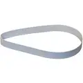 Replacement Belt, Poly, 12"