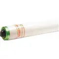 Shat-R-Shield 96" 110 Watts Linear Fluorescent Lamp, T12, Recessed Double Contact (R17d), 8800 Lumens