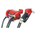 1/3 HP Cast Iron Rotary Vane Fuel Transfer Pump, 25 GPM, 12 to 24V DC