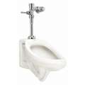Exposed, Top Spud, Manual Flush Valve, For Use with Category Urinals, 0.125 Gallons per Flush
