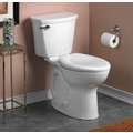 Toilet Bowl, Floor Mounting Style, Elongated, 1.28/1.60 Gallons per Flush
