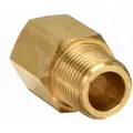 Conversion Adapter: Chrome-Plated Brass, 3/4 in x 3/4 in Fitting Pipe Size, Male BSPP x Female NPT