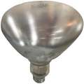 Lamp, 250W, PTFE Coater, Fits Brand C. Cretors and Company, 31EV91, T28A1X-XXX-X