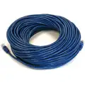 Monoprice Voice and Data Patch Cord: 6, RJ45, 100 ft. Lg - Patch Cord, Blue