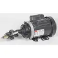 Rotary Gear Pump, 125 psi, Cast Iron, 1 HP, 1 Phase