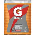 Gatorade Original Fruit Punch G Series Powder Concentrate Drink Mix