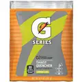 Gatorade Original Lemon Lime G Series Powder Concentrate Drink Mix