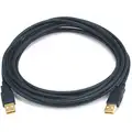 USB Cable: 2.0, 15 ft Cable Lg, Black, A Male to A Male