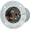 Hubbell Wiring Device-Kellems Silver Flanged Locking Inlet, 50 Amps, 250 VAC Voltage, NEMA Configuration: Non-NEMA