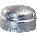 Galvanized Malleable Iron Cap, 3" Pipe Size, FNPT Connection Type