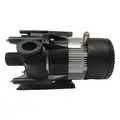 Centrifugal Pump: 1/25 hp HP, 115, 11.6 gpm @ 1 ft, 18 7/10 ft Max. Head, 3/4 in T