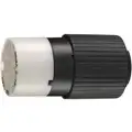 Bryant 15 Amp Industrial Grade Standard Straight Blade Connector, 5-15R NEMA Configuration, Black/White