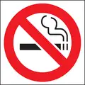 Recycled Polystyrene No Smoking Sign with No Header, 4" H x 4" W