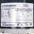 Marathon Motors Carbonator Pump Motor, 1/3 HP, Split-Phase, Nameplate RPM 1,725, 48Y Frame, Voltage 115V AC