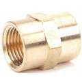 Coupling: Brass, 3/8 in x 3/8 in Fitting Pipe Size, Female NPT x Female NPT, 1 1/8 in Overall Lg