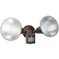 Adjustable Beam Angle Light, Incandescent, 120 VAC, Number of Lightheads 2