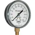 WINTERS Pressure Gauge: Air/Water, 0 to 300 psi, 3 1/2" Dial, 1/4" NPT Male, Bottom, PFE