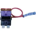 2-Pole Automotive Fuse Holder, AC: Not Rated, DC: 12VDC, 5 to 10A, Series ATO