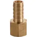 Brass Hose Barb with Straight Fitting Style, 1/4" Thread Size