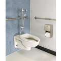 Toilet Bowl, Wall Mounting Style, Elongated, 1.1 to 1.6 Gallons per Flush
