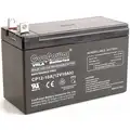 12VDC Sealed Lead Acid Battery, 10Ah, Tab with Bolt Hole, 4.19" Height, 6.05 lb. Weight