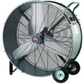 Dayton 48" Corrosion-Resistant Industrial Fan, Mobile, Floor, 120 VAC