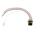 LED Plug 3-Wire Molded Amp