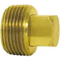 Brass Cored Plug, MNPT, 1/4" Pipe Size, 30 PK