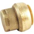 End Stop, Tube Fitting Material DZR Brass, Fitting Connection Type Push-Fit, Tube Size 1/2 in