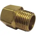 Adapter: Brass, 1/8 in x 1/8 in Fitting Pipe Size, Female NPTF x Male NPTF, Class 150
