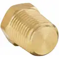 Hex Head Plug: Brass, 1/4 in Fitting Pipe Size, Male NPT, 13/16 in Overall Lg