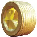 Brass Countersink Plug, MNPT, 1/2" Pipe Size, 1 EA