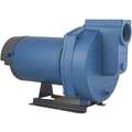 120/240 VAC Cast Iron Sprinkler Pump, 1-Phase, 2" NPT Inlet Size