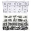 Round Carriage Bolt Assortment, Slotted, Alloy Steel, Chrome, 100 Pieces