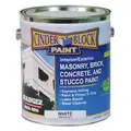 RAE Exterior Paint: For Wood / Stucco / Plastic / Metal / Brick / Concrete / Drywall / Masonry, White, 1 gal Size