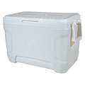 Igloo 25 qt. Chest Cooler with Ice Retention of Up to 2 days; White