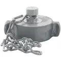 Dixon Fire Hydrant Rocker Lug Cap w/Chain, Caps Fittings Sub-Category, NST Female Connection Type, Size 2-