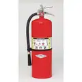 Amerex 20 lb., ABC Class, Dry Chemical Fire Extinguisher; 21 ft. Range Max., 30 sec. Discharge Time